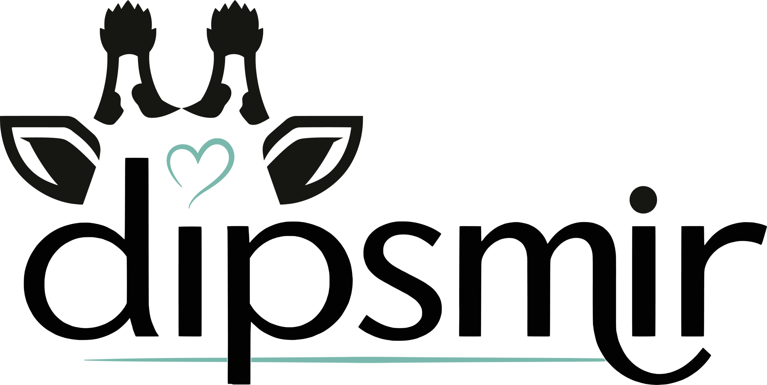 dipsmir_logo_quer